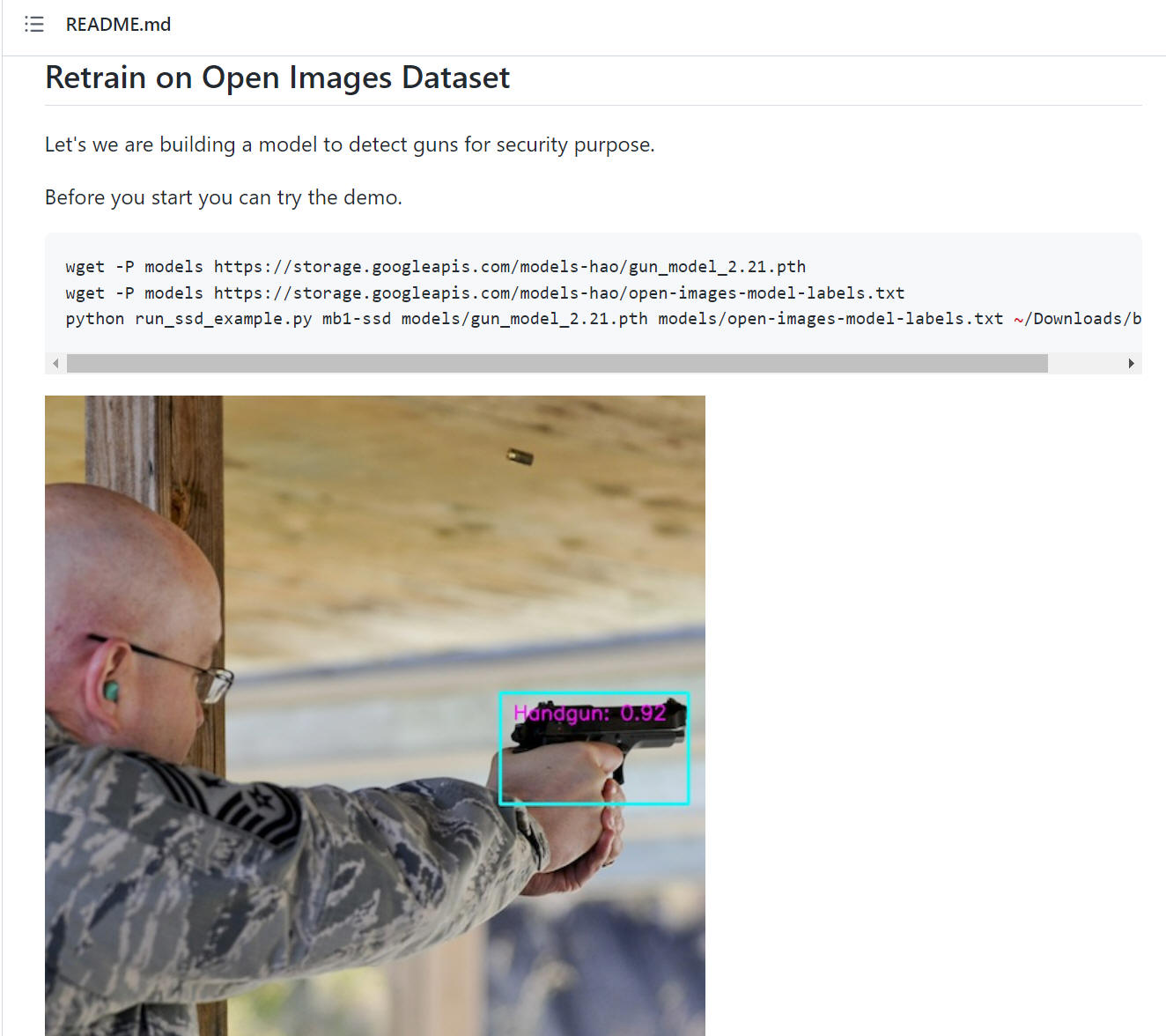 "Retrain on Open Images Dataset" 概要